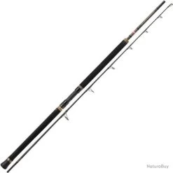 Canne Penn Regiment II Popping - 2,70 M / 60 - 120 G