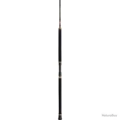 Canne Penn Regiment II Popping - 2,70 M / 60 - 120 G -PENN 00035 Canne Penn Regiment II Popping 2 70 m 60 120 g