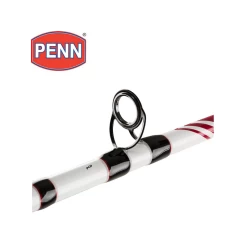 CANNE MER PENN SQUADRON 2 BOAT 2M13 6-12LBS -PENN canne mer penn squadron 2 boat 2m13 6 12lbs 2