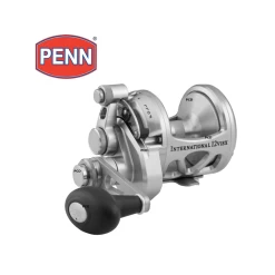 MOULINET PENN INTERNATIONAL 20 VISX SILVER