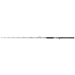 PENN Canne Baitcasting Regiment III Jig