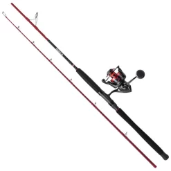 PENN Combo Pêche De Fond Fierce IV Boat